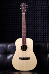 Акустическая гитара Cort Earth Series 50 - OP
