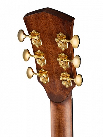 Акустическая гитара Cort Gold Series GOLD-D6-WCASE-NAT, с кейсом