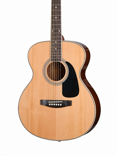 Акустическая гитара Homage LF-4021 