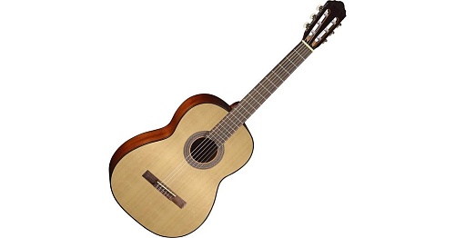 Классическая гитара Cort AC100-SG 4/4
