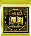 Ernie Ball Everlast Bronze 80/20 10-50 Extra Light 2560 