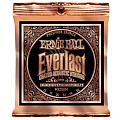 Ernie Ball Everlast Phosphor 13-56 Medium 2544
