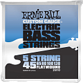 Ernie Ball Flat Wound 45-130 5 String 2810 