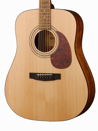 Акустическая гитара Cort Earth Series 60 - OP, массив ели