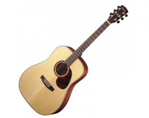 Акустическая гитара Cort Earth Series 100 - NS