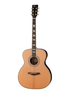 Акустическая гитара Ramis RW-436A массив